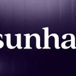 Sunhat Helps 500+ Enterprises Close Compliance Proof Gap With AI Platform